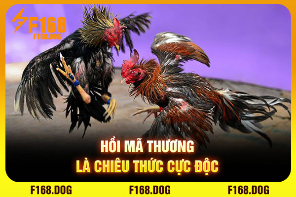 Hồi mã thương là chiêu thức cực độc Hồi mã thương là chiêu thức cực độc
