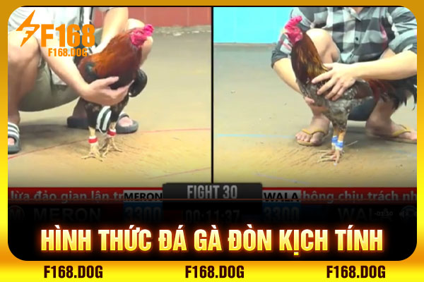 Hình thức đá gà đòn kịch tính