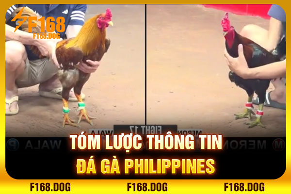 Tóm lược thông tin đá gà Philippines Tóm lược thông tin đá gà Philippines